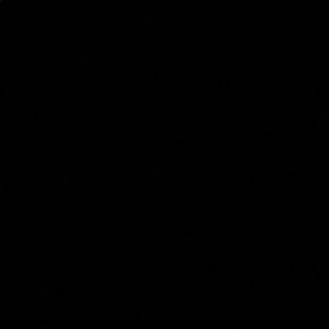 Meet your Posher, Zaklina